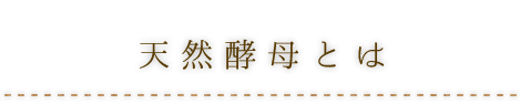 天然酵母とは