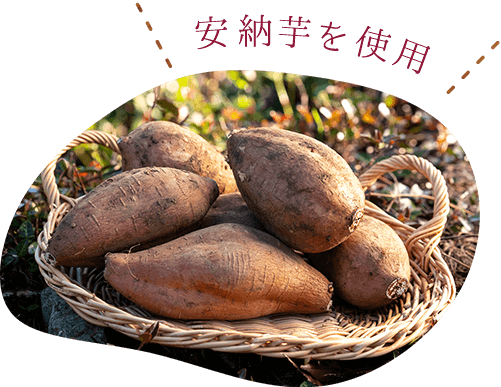 安納芋